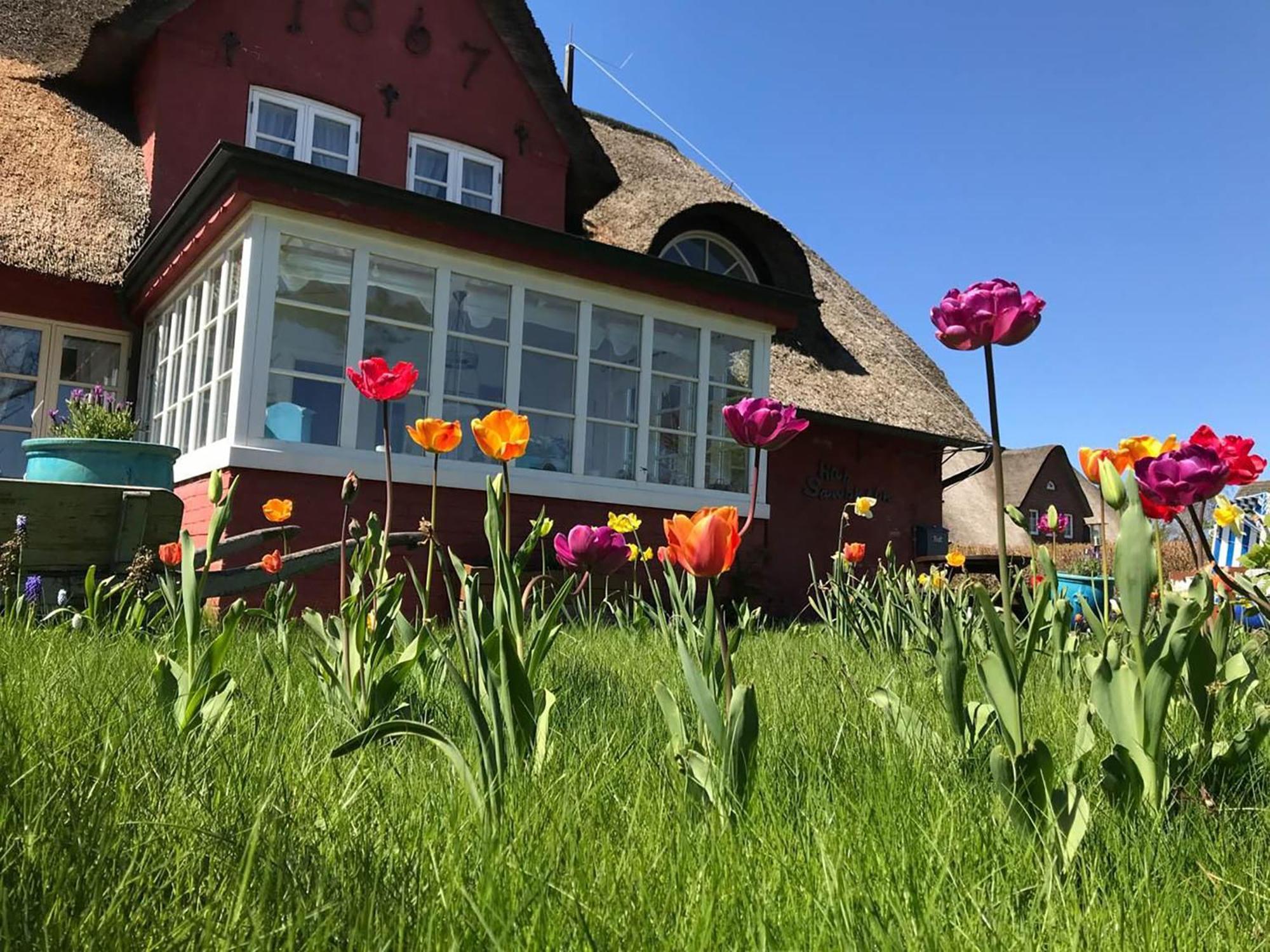 Hues Sanskiin Ferienwohnung *Hopelfask* Suddorf Екстериор снимка